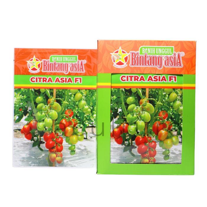 Benih Tomat Citra Asia F1 5 Gram Benih Bintang Asia