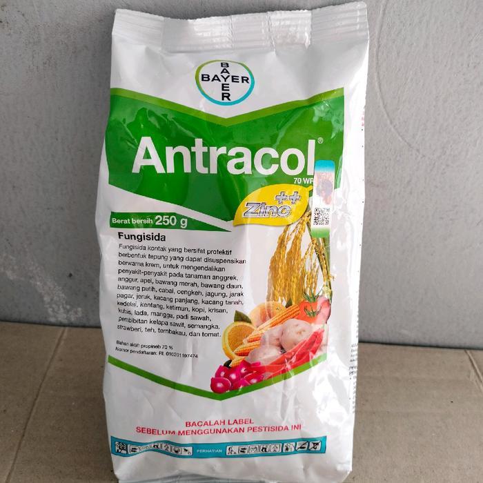 Antracol 70 WP 250gram Bahan Aktif Propinep plus zick dan Zpt Fungisida Untuk Mencegah Jamur Tanaman