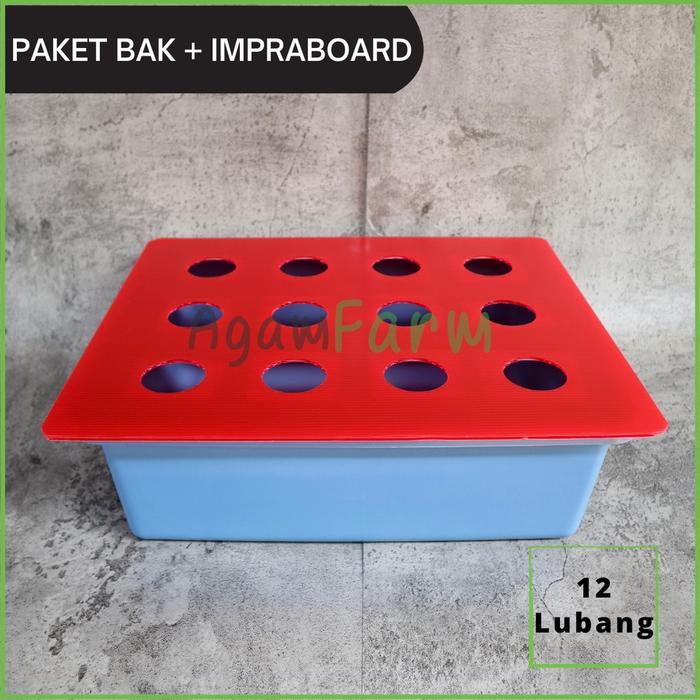 Moonieshopline Bak Hidroponik Plus Tutup Impraboard 12 Lubang