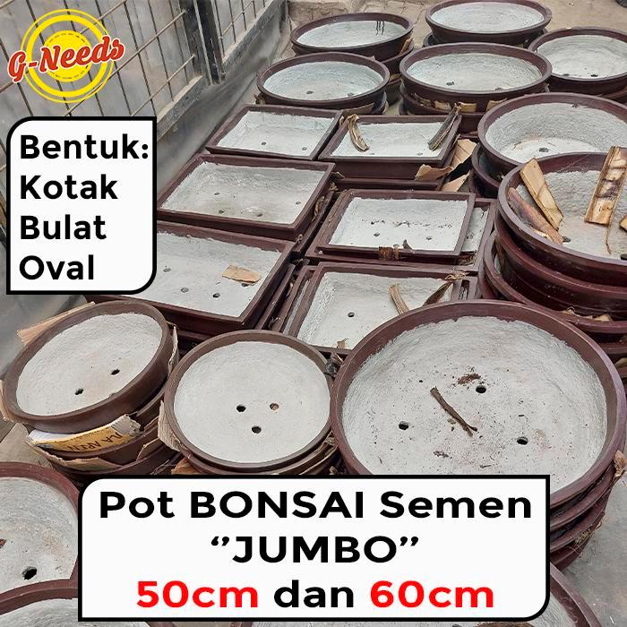 Pot Bonsai Jumbo / Pot Semen Bonsai Jumbo 50Cm & 60Cm (Grab/Gojek/Car Only)