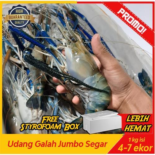 TERLARISSSS Jakarta Fish Market Udang Galah Jumbo Segar 1 kg isi 4-7 Ekor dari Cilacap Indramayu &