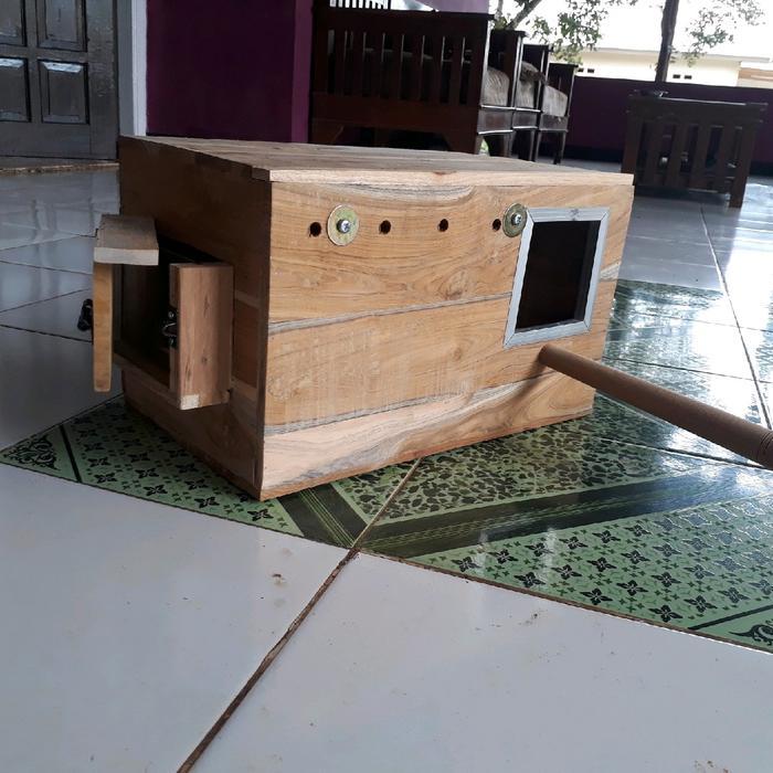 Glodok Kayu Jati untuk Burung Sun Conure dan Nuri Ukuran 40x24x24 cm Lubang Masuk 10x10 cm