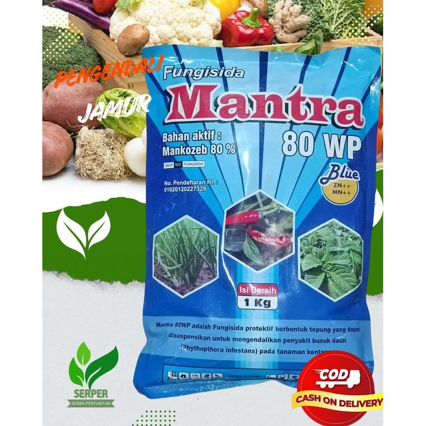 ` FUNGISIDA MANTRA 80 WP MANCOZEB BIRU