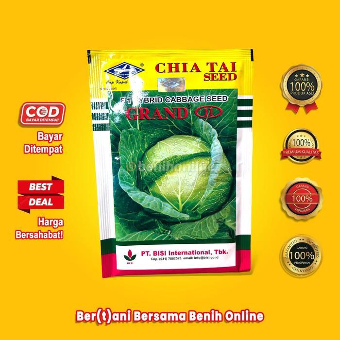 Merayakansenja Benih Kubis Grand 11 15 Gram Cap Kapal Terbang Green Nova Polaris Summer Autumn Gutji