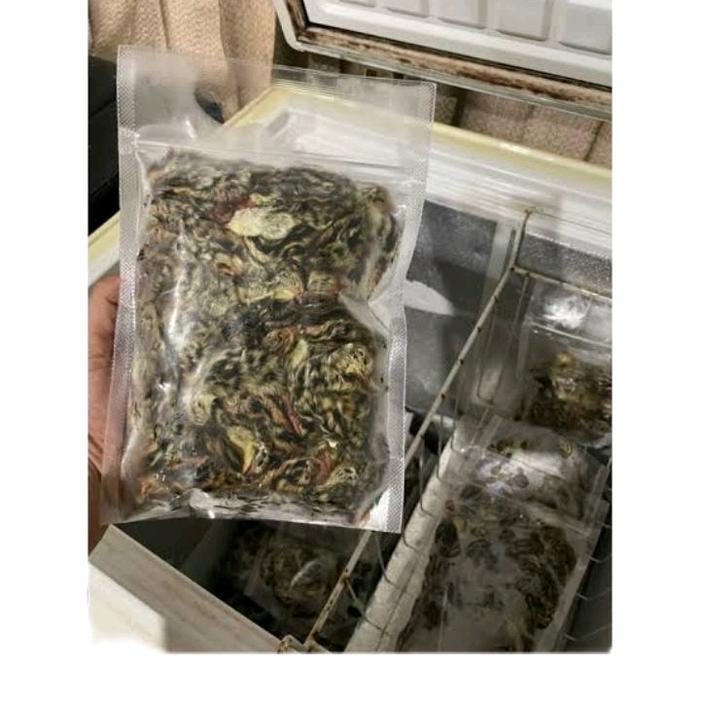 doq/anak puyuh frozen setengah box isi 200 ekor