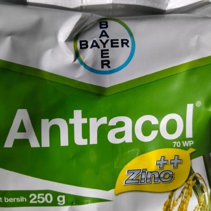 ` Fungisida Antracol 250 gram mengatasi bercak daun obat sistemik