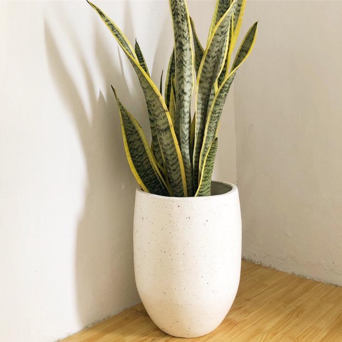 pot gerabah tanah liat aesthetic besar - vas bunga besar Tanaman pot bunga nursery gold pot &