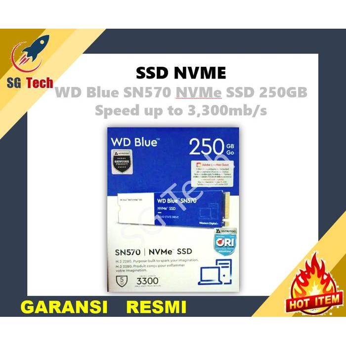 WD Blue SN570 NVMe SSD 250GB NVME Gen 3 250 GB