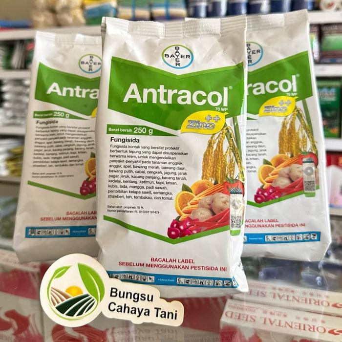 ` ANTRACOL 70WP+ZINC Fungisida Bahan Aktif: Propineb 70%