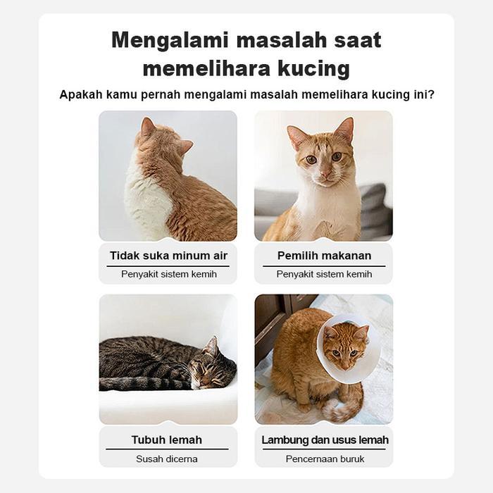 Makanan Kucing Kaleng Snack Kucing Makanan Kucing Basah Kaleng Makanan Hewan Kaleng Pencernaan