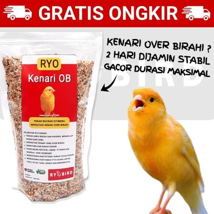 RYO KENARI OB KAMISAMA PAKAN MAKANAN BURUNG KENARI FINCH OVER BIRAHI PENURUN OB CIAK CABUT BULU