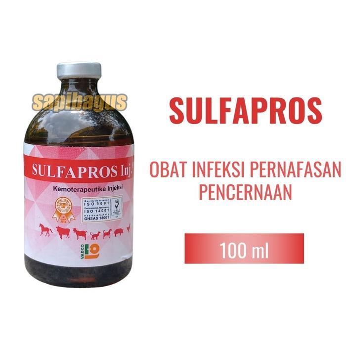 Obat Injeksi untuk Saluran Pencernaan Hewan, 100 ml