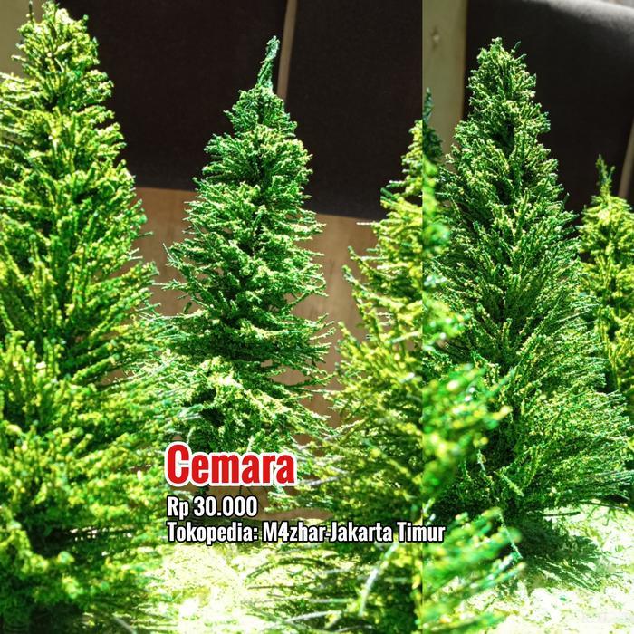 BISA COD Miniatur pohon cemara diorama jalan parkiran diecast hotwheels 64