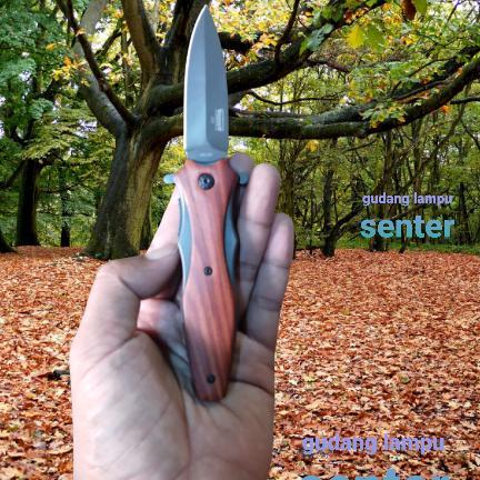 DISKON pisau lipat antik/pisau survival/Pisau lipat Berburu pisau Baja