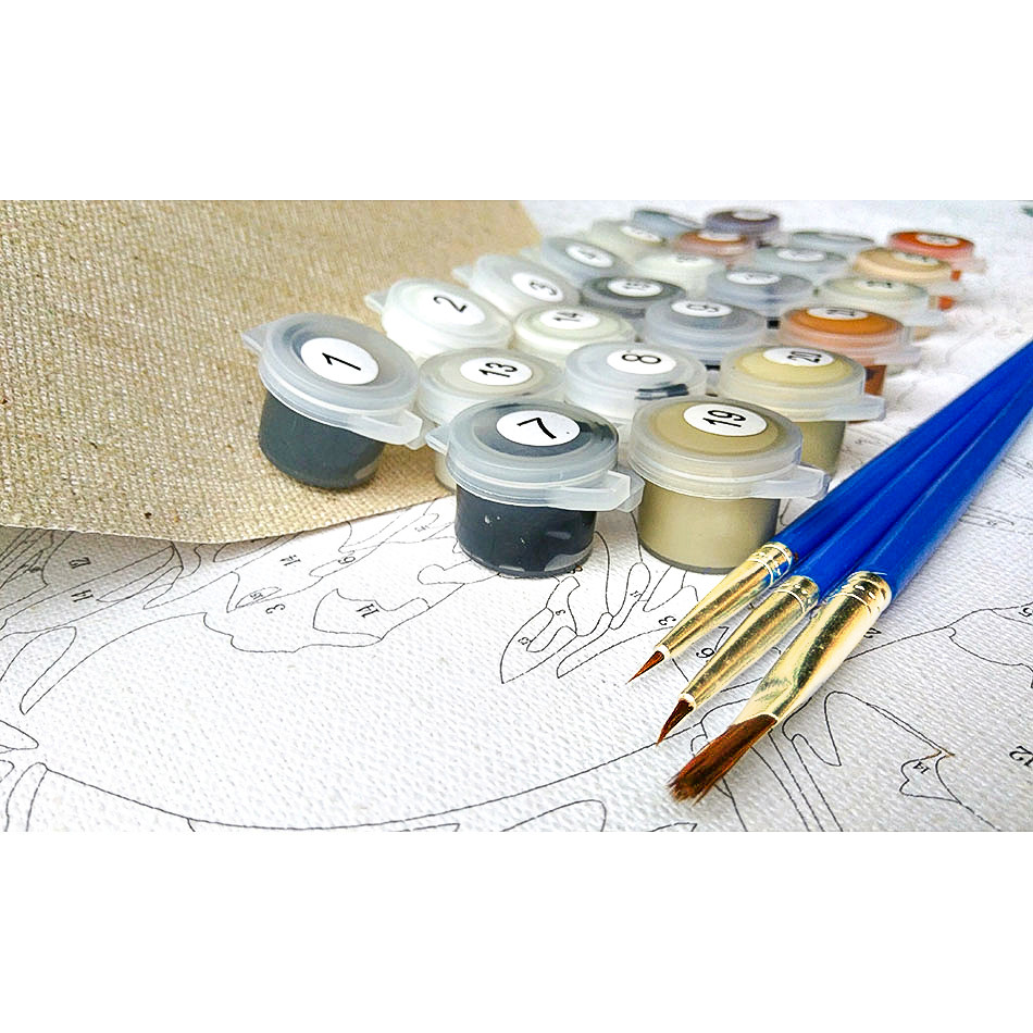 GATYZTORY DIY Oil Painting By Numbers Kit Pink Scenery Acrylic Paint By Numbers Diy Numbers Painting