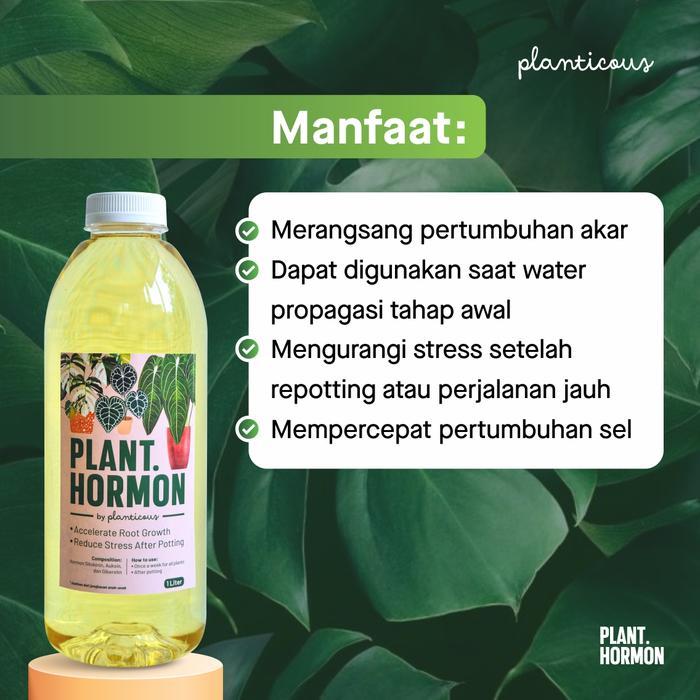 Plant Hormon Hormon Tanaman Tbk