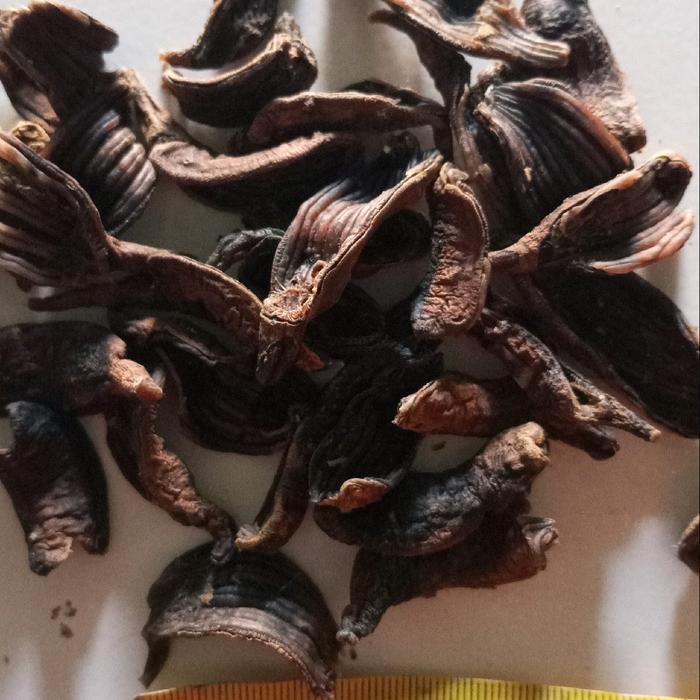 OBRAL krupuk tripang mentah ,kering siap digoreng Camilan Snack Kerupuk Cemilan Keripik