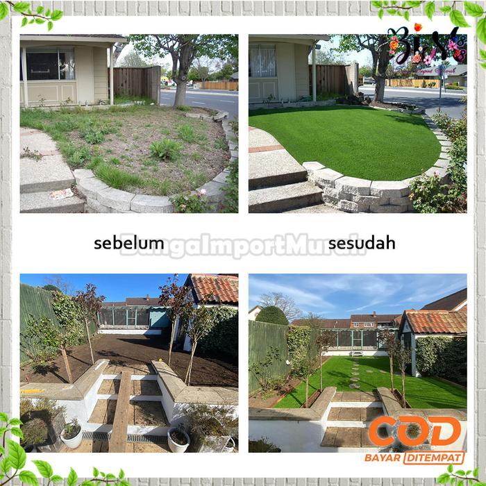 Merayakansenja Rumput Sintetis Rumput Hijau Artificial Karpet Rumput Rumput Golf Socker Import