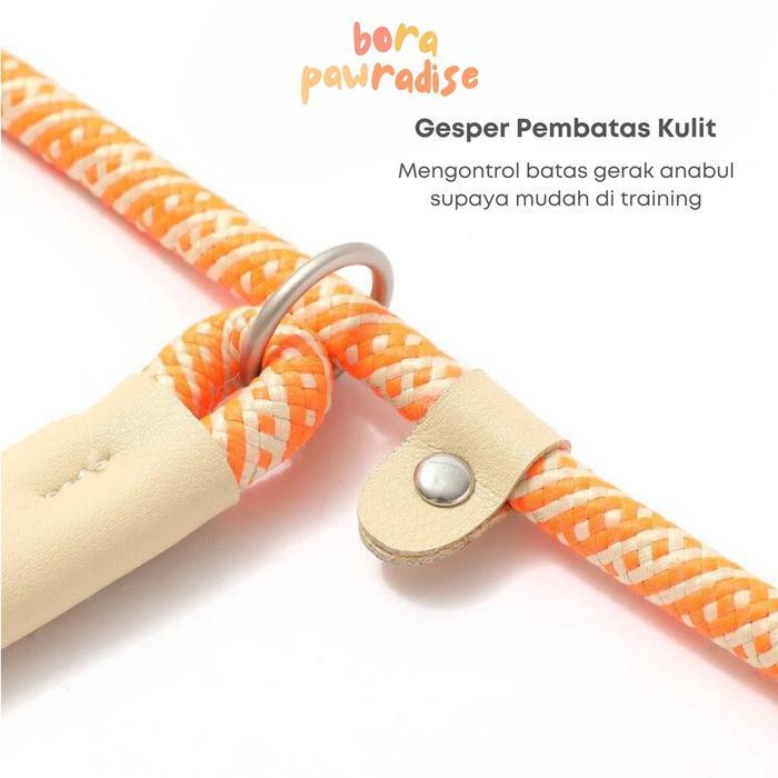 Leash Anjing Kecil / Tali Tuntun Anjing / Tali Anjing Kecil Kuat / Dog Leash / Rantai Anjing