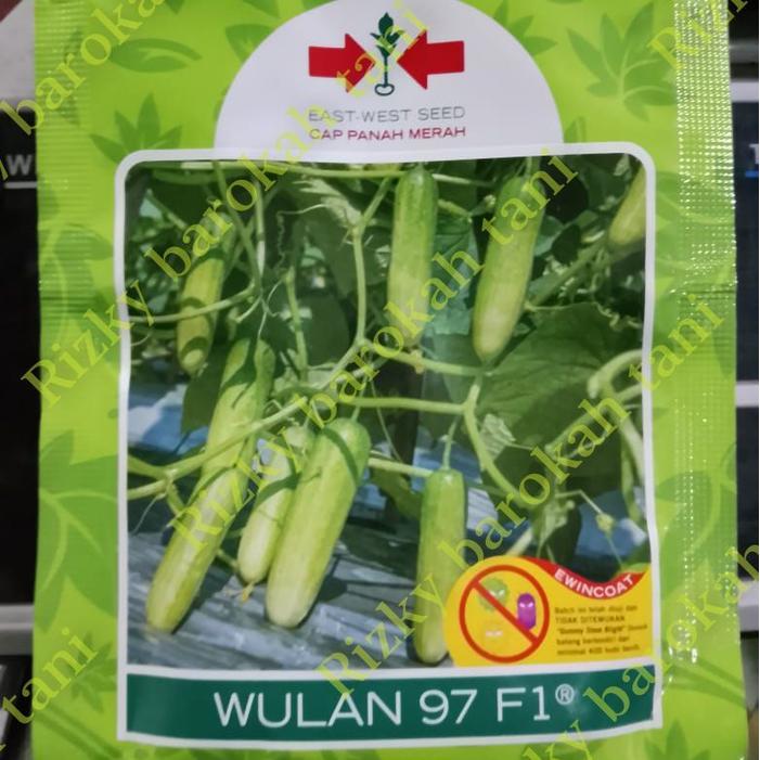 Wulan 97 F1 Benih Timun Panah Merah #Gratisongkir