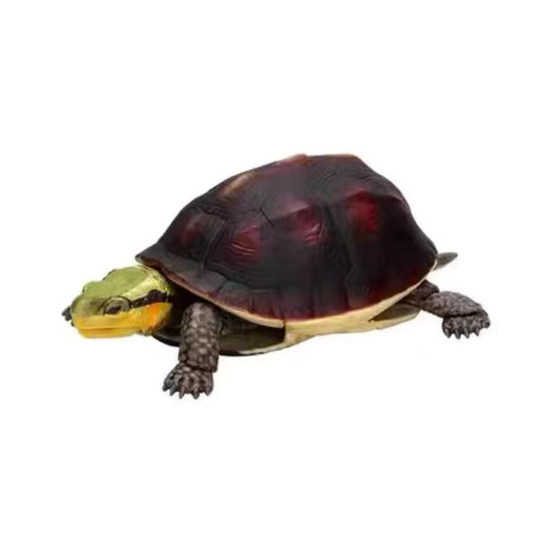 Bandai Real Creature Creature Encyclopedia Land Box Turtle Alligator Snapping Turtle Gashapon Figure