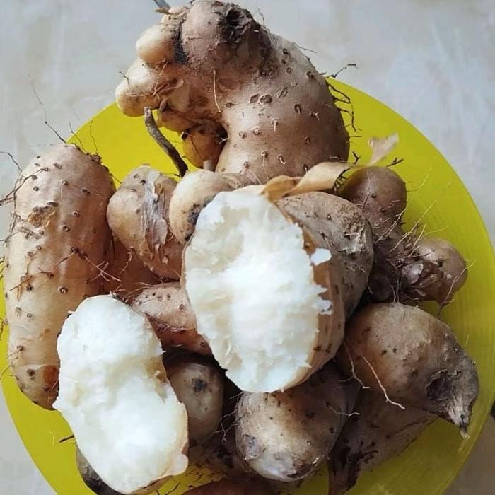 Ubi Gembili 1Kg/Ubi Gembili Pulen/Ubi Gembili Mentah/Ubi Gembili Murah/Ubi Mbili/Gembili Ketan