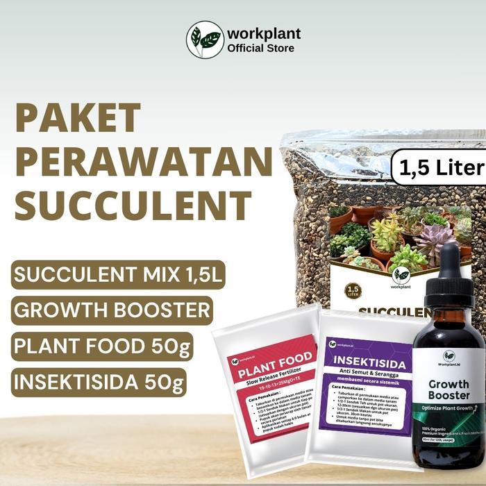 Workplant - Paket Perawatan Succulent Optimalkan Pertumbuhan Tanaman Hias Kaktus dan Sukulen