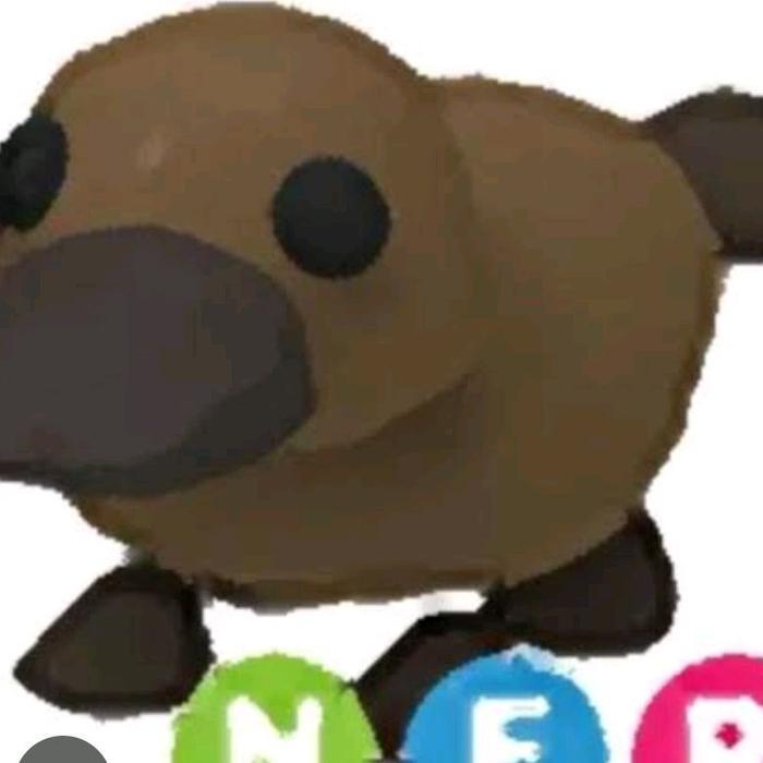 HOT SALE PLATYPUS NEON FLY RIDE ( NFR) ADOPT ME ROBLOX MAINAN ANAK TERMURAH