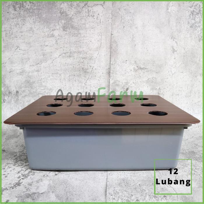 Bak Hidroponik Plus Tutup Impraboard 12 Lubang
