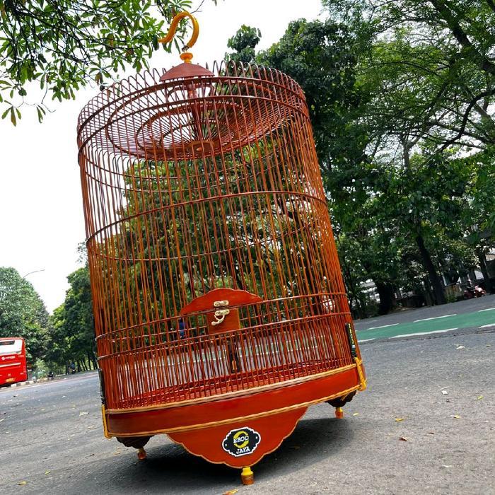 sangkar ebod murai sangkar murai ebod jaya