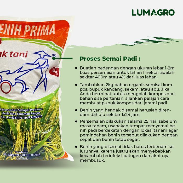 Josjismatt_ Benih Padi Saprotan Utama Inpari 33 5Kg Pak Tani Bibit Pari Jumbo Unggul 5 Kilogram