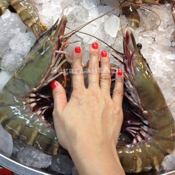 TERLARISSSS Udang 1Kg / Udang Segar / Udang Besar / Udang Jumbo / Udang Tiger / Udang Windu / Udang