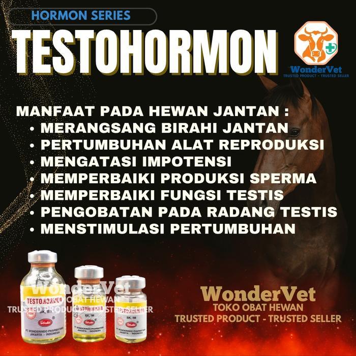 TESTOHORMON Original terlaris #1 hormon birahi hewan jantan
