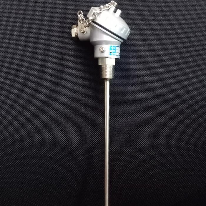Thermocouple Temperature Sensor Probe Pt 100 Teggusa Tempratur 300C