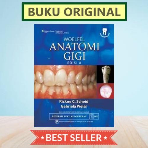 Promo [Original] Anatomi Gigi 8E - Woelfel Terlaris