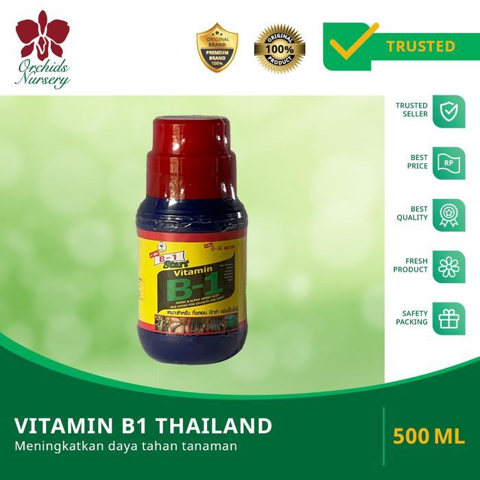 Vitamin B1 Import Thailand Original (500Ml)