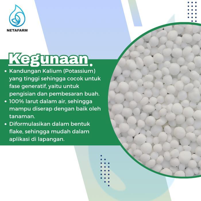 KCL Putih PAK TANI Kemasan Curah 1KG Tanaman Kalium