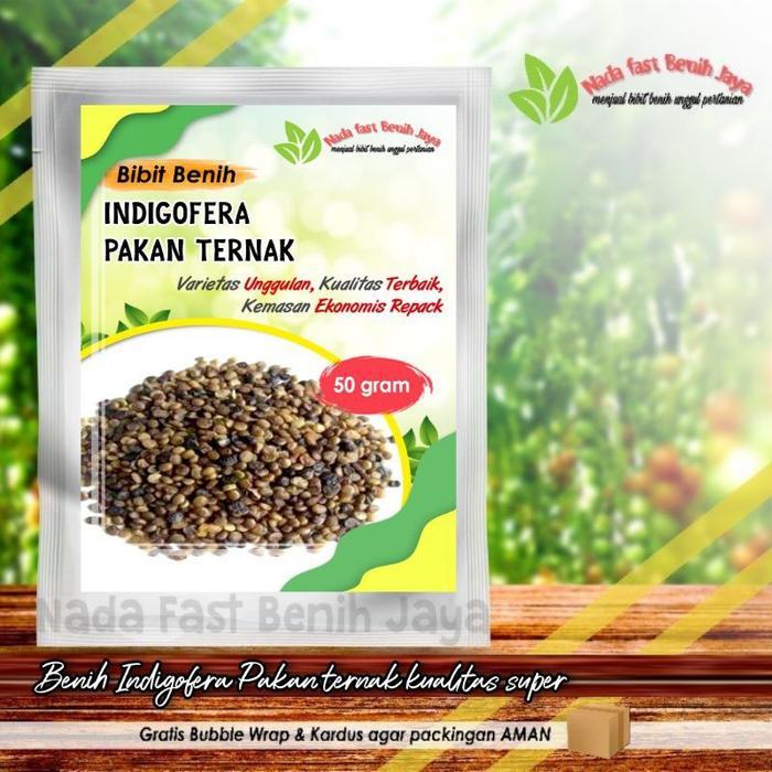 Benih Indigofera 50 Gram untuk Pakan Ternak, Tanaman Hijauan Kaya Protein, Tahan Kekeringan