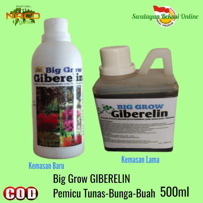 BISA COD Pupuk Booster ZPT Big Grow Giberelin Agar Tanaman Cepat Berbuah