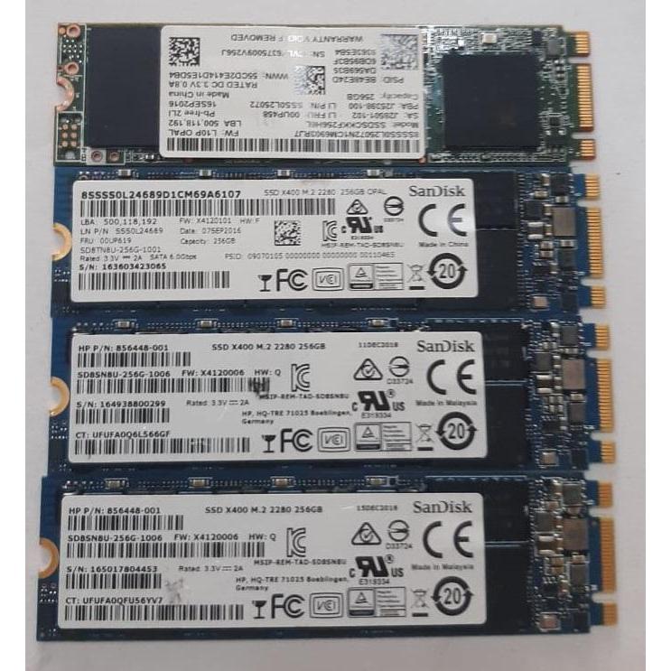 TERLARIS SSD SATA M.2 SATA 256GB - 512GB