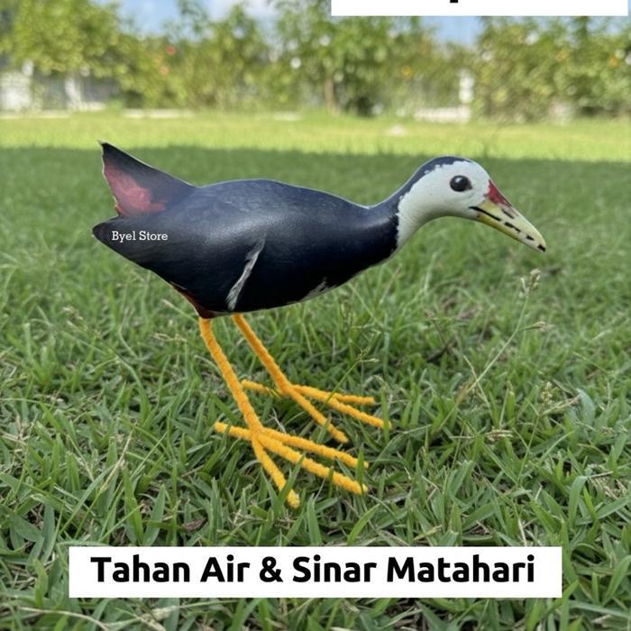 SIAPKIRIM Jontrot kareo ruak ruak sawah - Decoy Alat Pikat Burung Kareo ruak ruak sawah READY STOCK