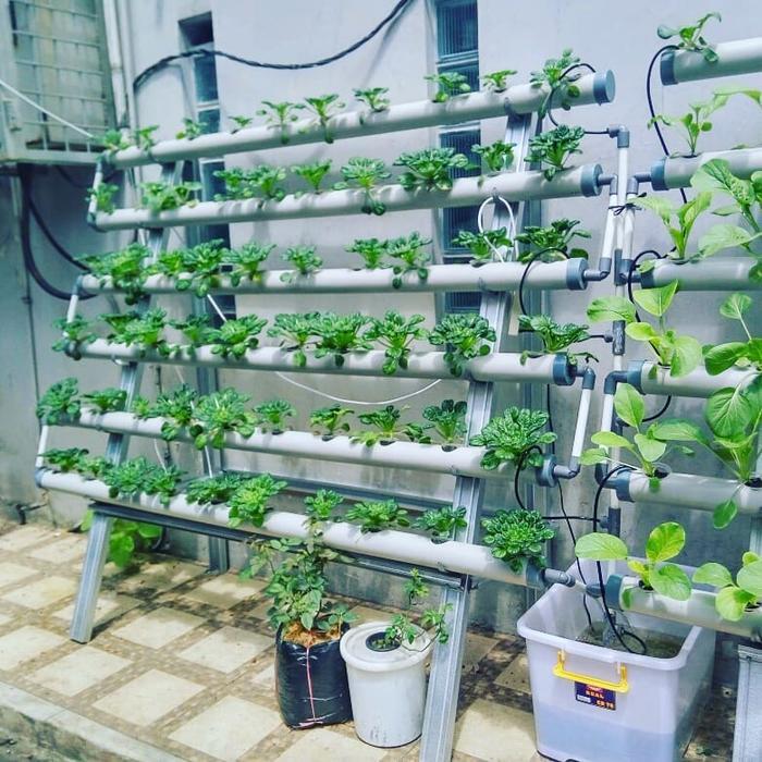 hidroponik NFT lubang Paket Lengkap Hidroponik NFT 60 Lubang Satu Sisi untuk Pemula, Bonus Panduan d