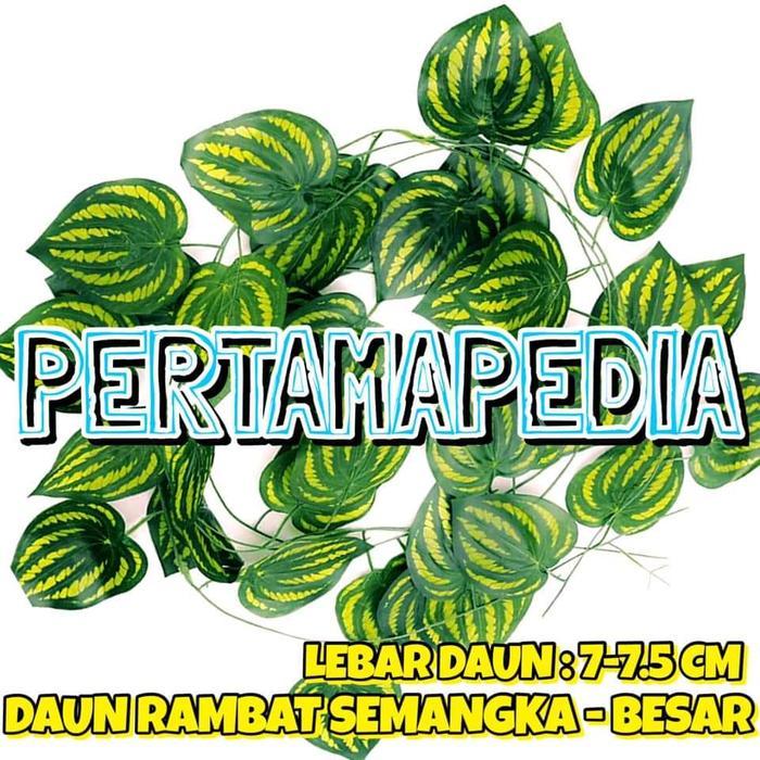 NEW PertamaPedia Satuan Daun Rambat Plastik Ukuran Besar Panjang 2 Meter Daun Rambat Hijau Seperti