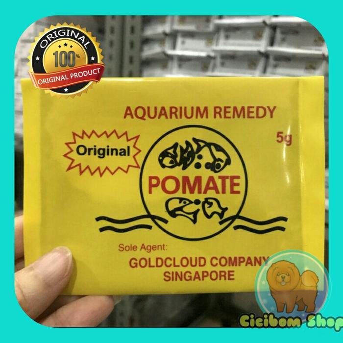 POMATE ORIGINAL ikan hias / ikan koi koki / karantina ikan