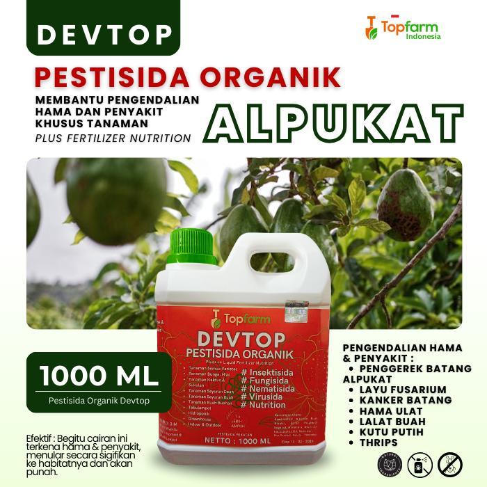 Obat Hama Untuk Pohon Alpukat / Obat Pembasmi Hama Daun Alpukat / Obat Hama Alpukat / Obat Hama Daun