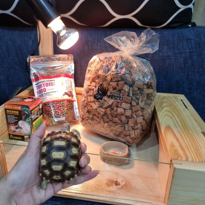 Paket Komplit Sulcata ukuran 7-8cm 1ekor plus tortotable fullset
