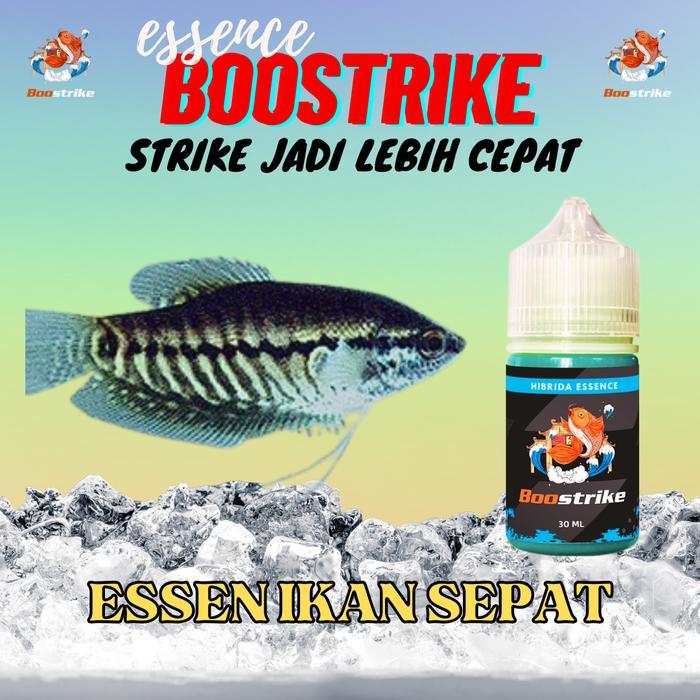 BISA COD BOOSTRIKE - Essen Ikan Sepat Jos Gandos No Boncos 30 Ml HIBRIDA