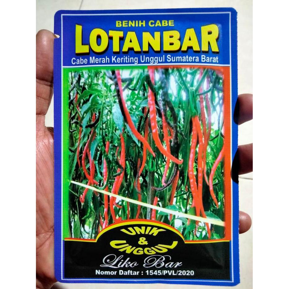 Merayakansenja Benih Cabe Merah Keriting Lotanbar 10 Gram - Bibit Cabe Lotanbar - Cmk Lotanbar -