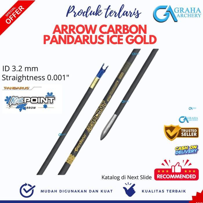 ARROW CARBON PANDARUS ICE GOLD 3.2 MM STRAIGHTNESS 0.001
