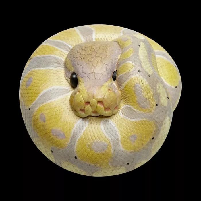 HOT SALE ANIMAL HEAVENLY BODY - RESIN ANIMAL BANANA PASTEL BALL PYTHON REGIUS SNAKE TERMURAH